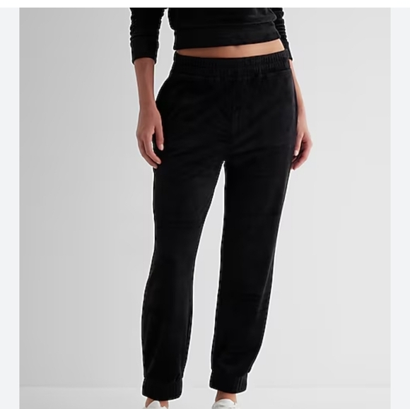 Express Velour Joggers - Picture 7 of 7